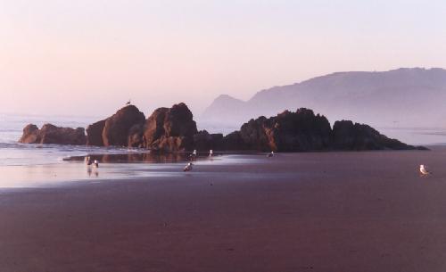 Oregon Coast in the Evening