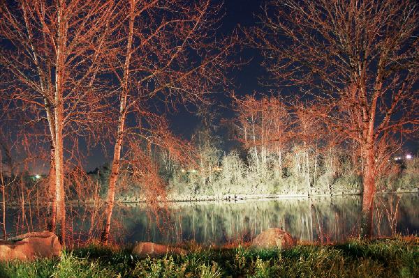 Willamette River at Night