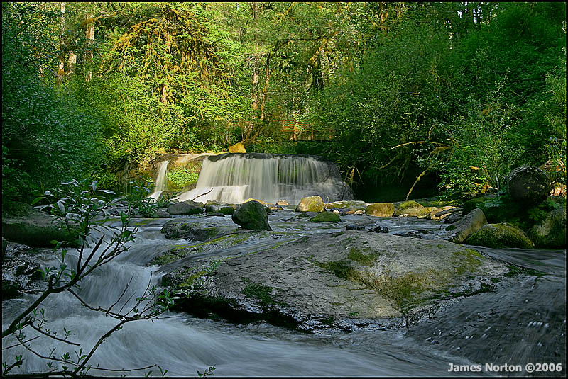 McDowell Creek Falls!