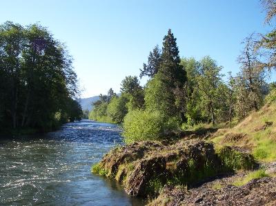River in Ruch Oregon