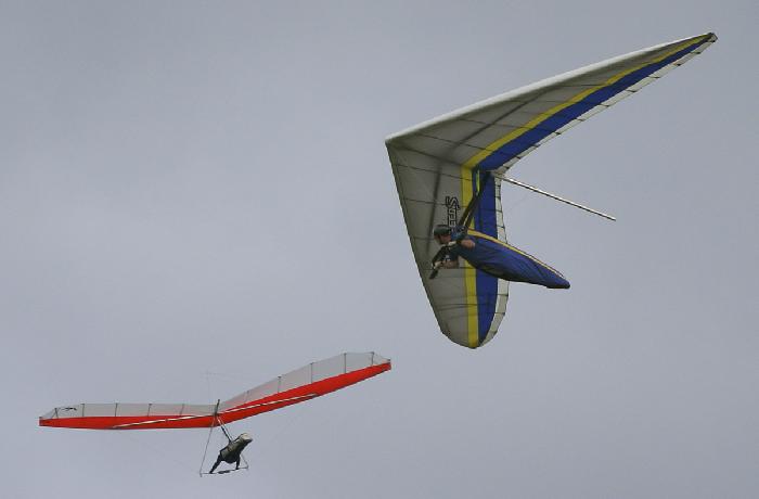 Gliders Sharing Airspace