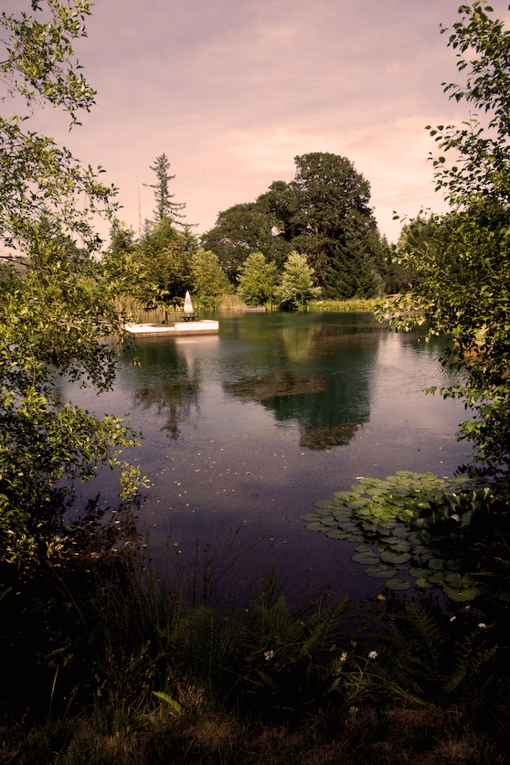 Beautiful Pond